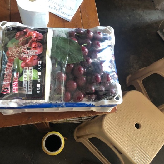  红灯樱桃基地批量出售