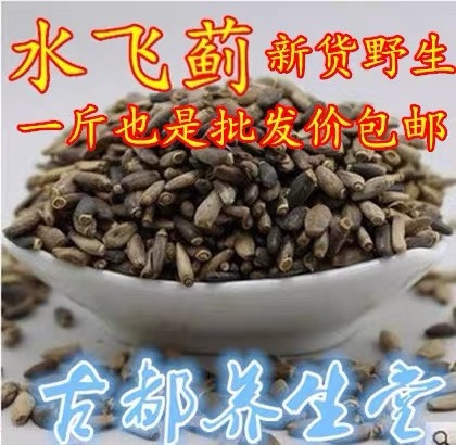 安国市水飞蓟 正品！！无硫新货！！干净！包邮到家！！实拍图！