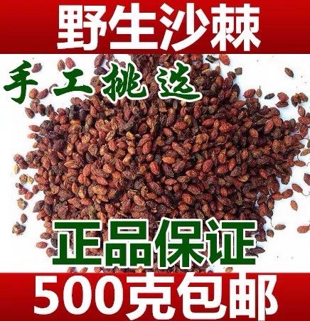 安国市新货，沙棘 ！沙棘干，批发零售！新货！！无硫！包邮到家！
