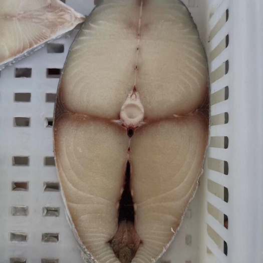 东山县马鲛鱼 片