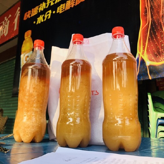 梅州 土蜂蜜纯正天然农家自产百花 蜂蜜、龙眼蜜、夏蜜