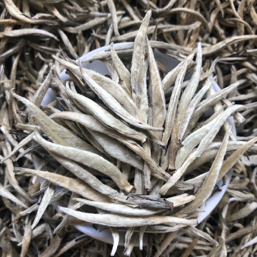 思茅云南白茶月光白 白毫银针 单芽白茶 原产地直供欢迎批发