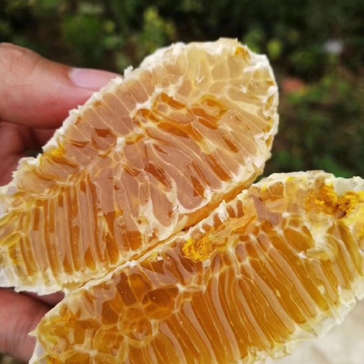 秀山 农家自产土蜂蜜十几年养蜂技术自家蜂厂直发