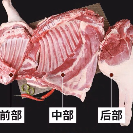 武平县 羊肉，新鲜羊肉