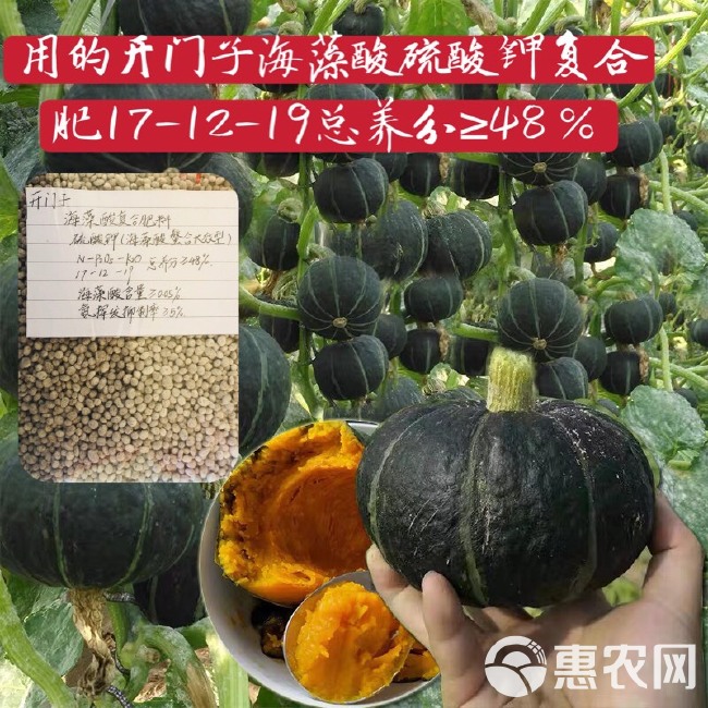  硫酸钾螯合长效性型开门子海藻酸复合肥料种植瓜果蔬菜经济作物种