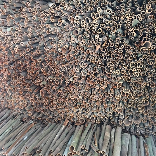 岑溪市 当年新鲜桂皮，干爽，农户自产自销