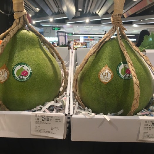 南宁泰国红宝石柚苗 泰国红宝石青柚，亩产10万元，母本纯正健康脱毒，包种植包收果