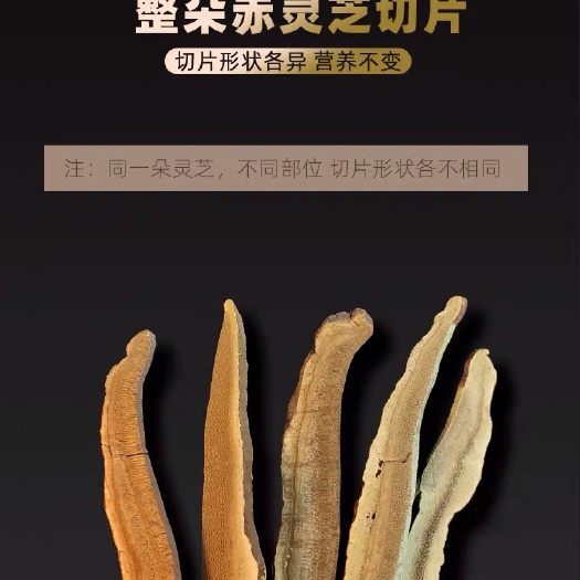 泰和县 灵芝切片，初级农产品