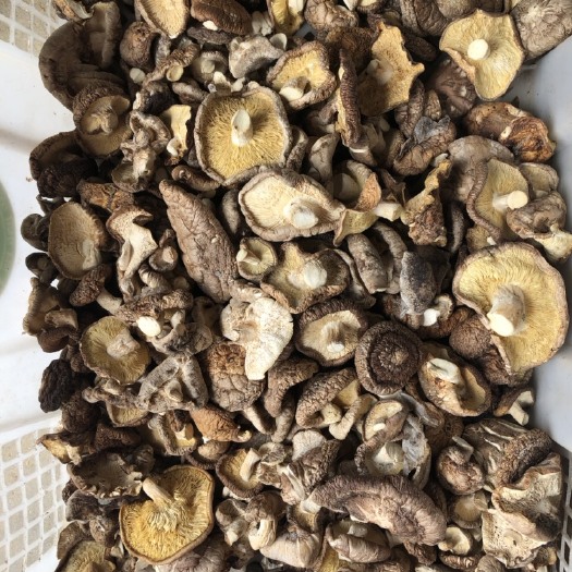 泌阳县普通香菇 菇片