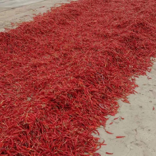 龙州县 越南干辣椒，新鲜辣椒