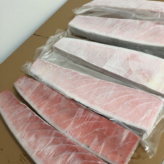 大连冻金枪鱼 超低温蓝鳍大腹9-11号板优惠价出货