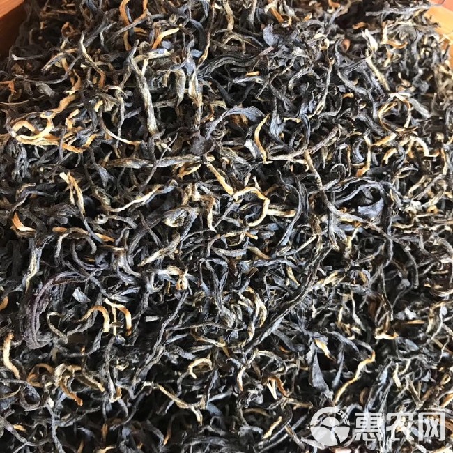 英德红茶 恒温长期保存