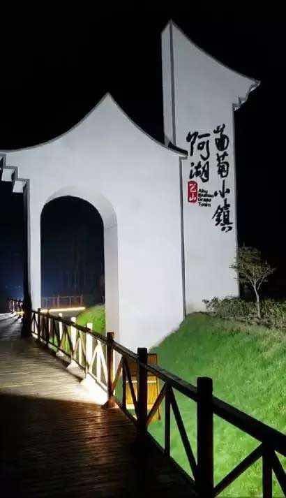 新沂市 阿湖巨峰葡萄