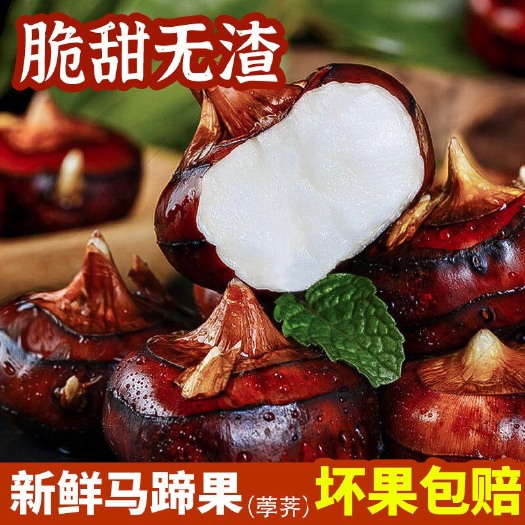 佛山毛马蹄   新鲜水果马蹄荸荠脆甜农家现挖鲜马蹄果广西马蹄当季地梨子