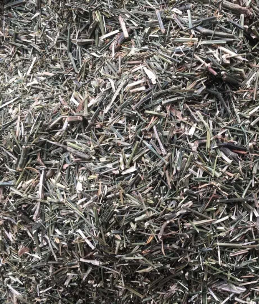 长期供应{穿心莲细枝}可批量可零售量大从优【包邮】