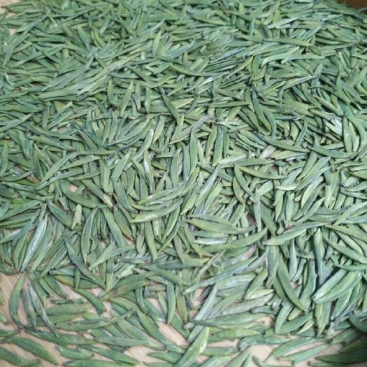 沐川县竹叶青茶 正品竹叶青，清汤绿叶，高山独芽。