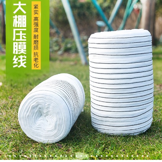 睢宁县 大棚骨架配件压膜绳抗老化白色涤纶丝压膜带防风压膜线
