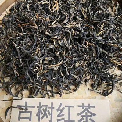 云县 古树红茶