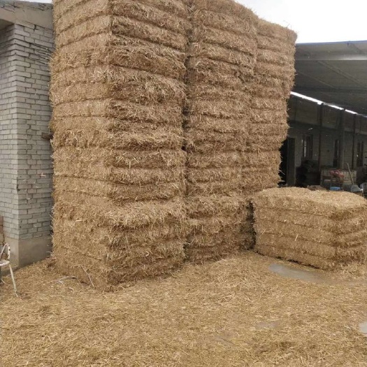 河津市玉米秸秆 优质小麦秸秆质优价廉！