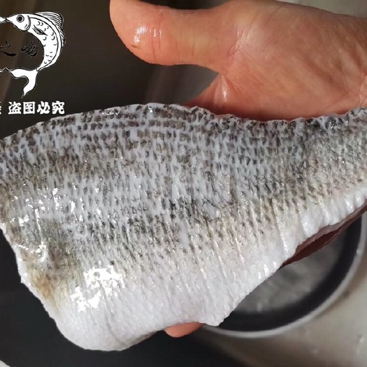 佛山 速冻 锁鲜 酸菜鱼 水煮鱼 加州鲈鱼柳  28元一斤