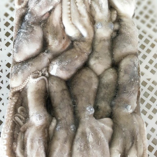 冷冻水产品章鱼 鲜活冷冻章鱼，出口品质