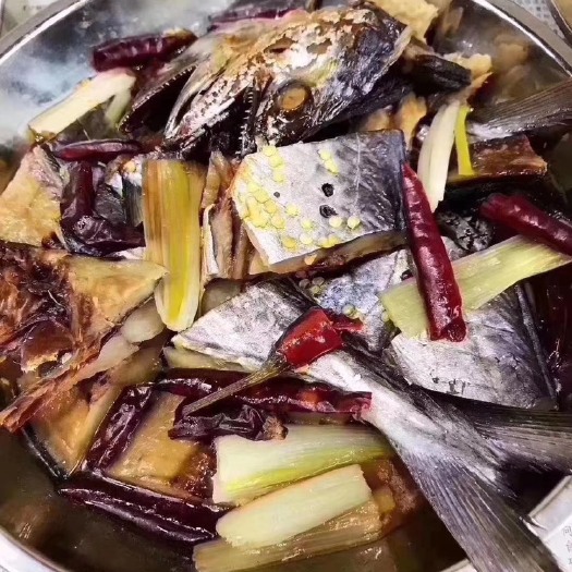 滨州黄金鲅 开背燕尾鲅