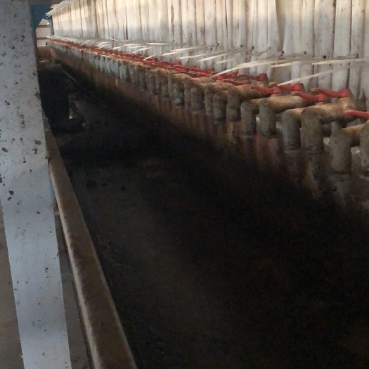 广州 动物固废，粪污，餐除经过发酵水解产的固体有机肥，量大每天供应