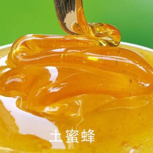 贞丰县 正宗土蜂蜜