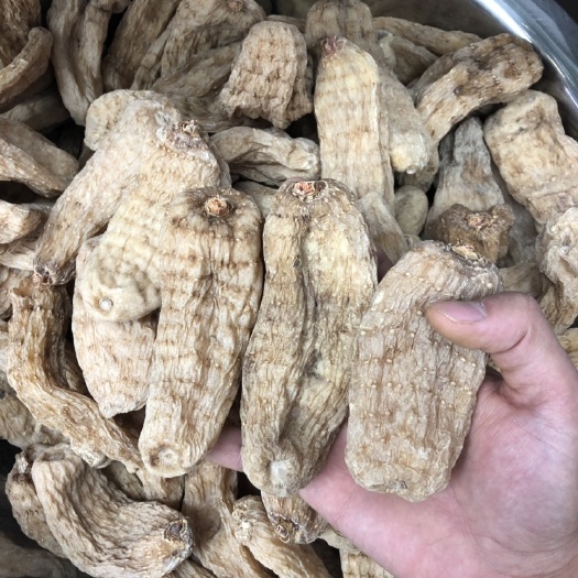 广州黄天麻