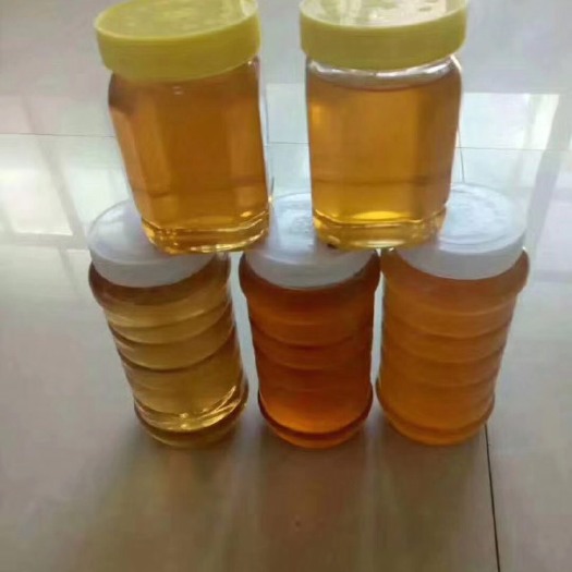 沂源县槐花蜜 自家饲养 纯正