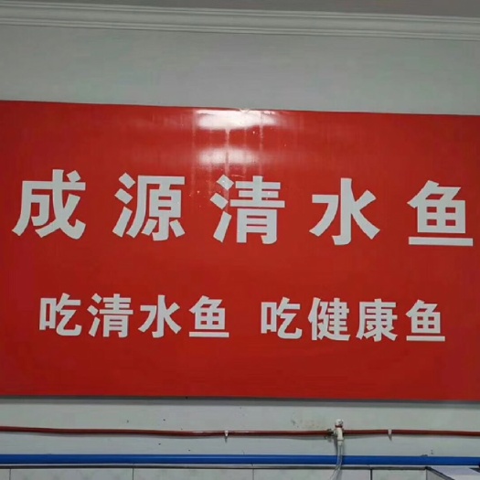 丰都白鲢鱼 饮用水库的清水鱼，白鲢，花鲢，草鱼，