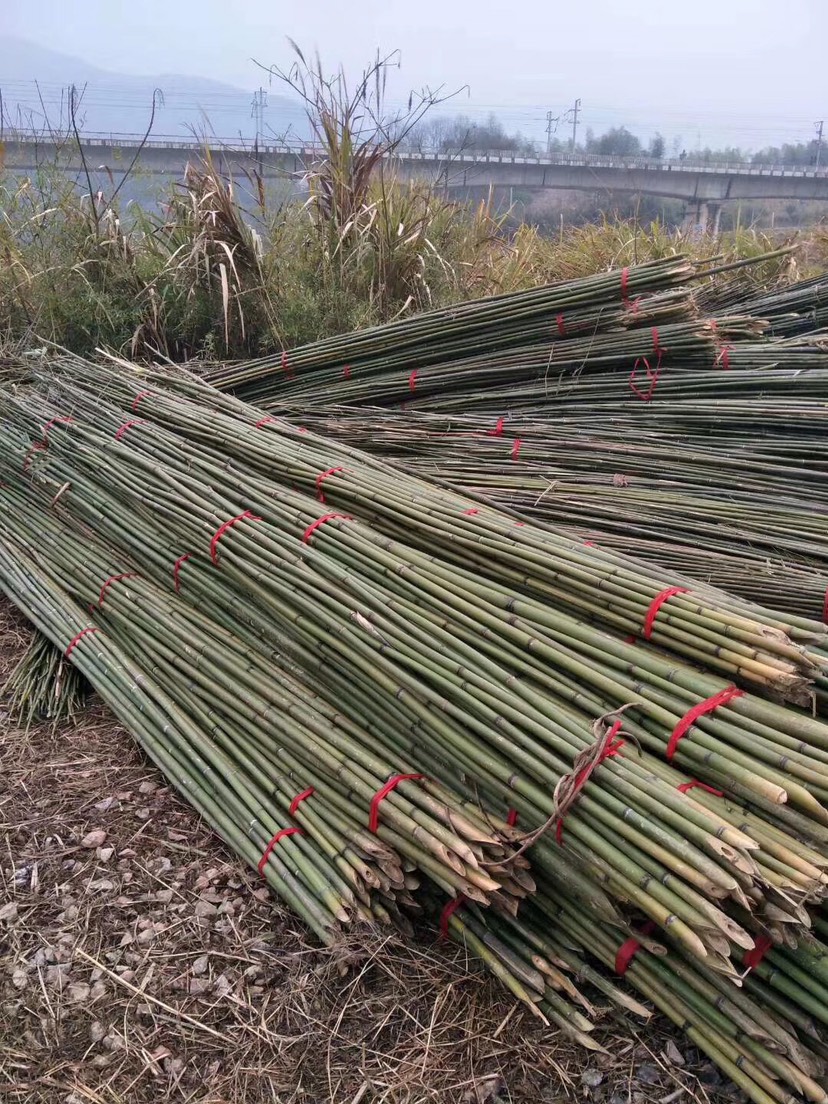  菜架竹