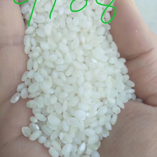东海县香米 质量口感毋庸置疑