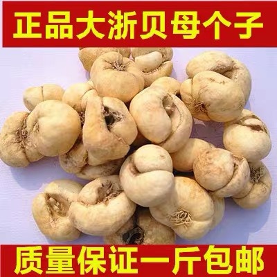  正品！批发，零售！浙贝母！无硫！假一赔十！煲汤！包邮到家！