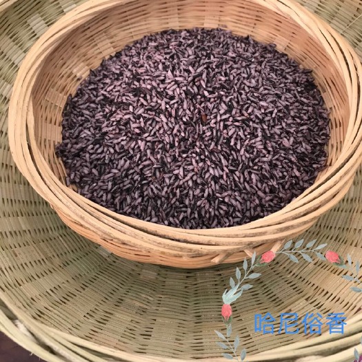 墨江县 纯正墨江紫米 厂家供应