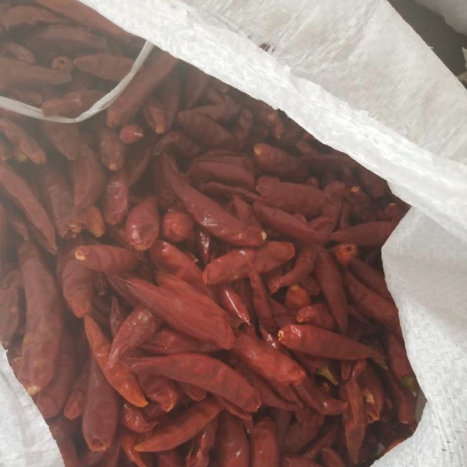金乡县朝天椒干辣椒  辣椒朝天椒微辣高辣
