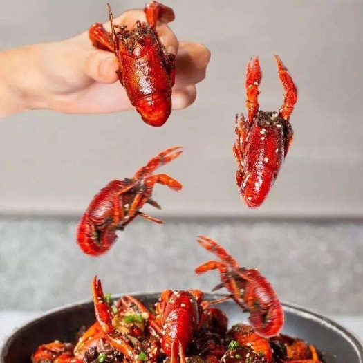 潜江市 潜江小龙虾，小龙虾，清水小龙虾，养殖塘口直发