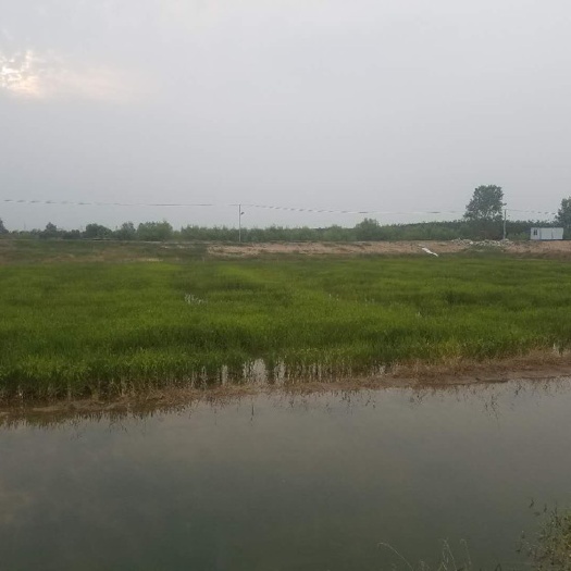 黄冈水产养殖用地 水产养殖基地基础设施完善