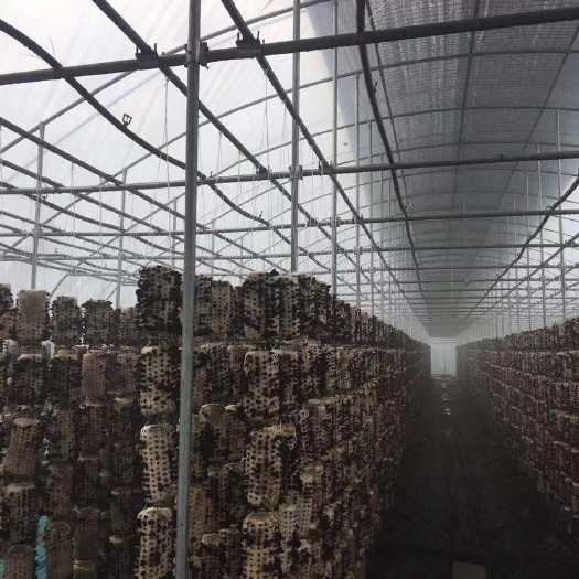 天津养殖大棚骨架 质量好工期快