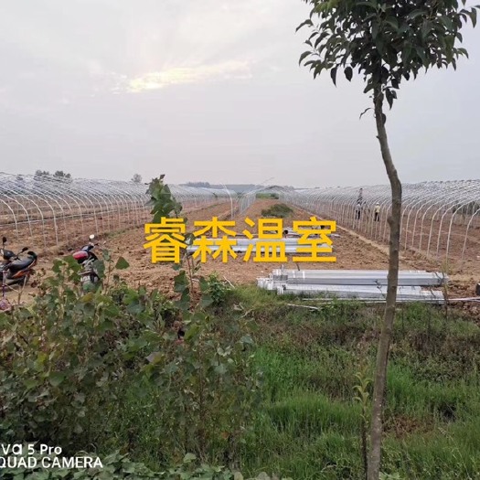 天津热镀锌蔬菜大棚