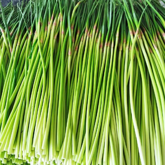 中牟县红帽蒜薹 50~60cm