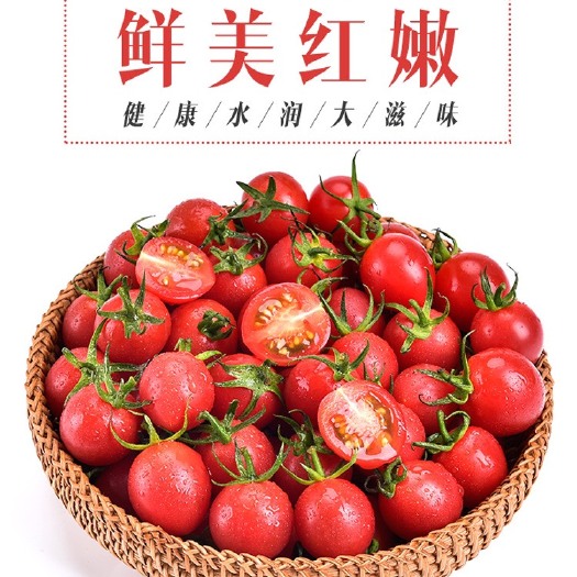 平度市釜山88圣女果