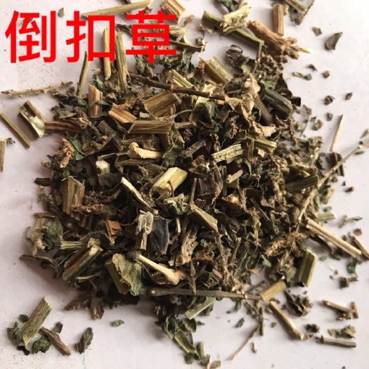  倒扣草中药材倒扣草正品倒扣草干净无杂1000克包邮