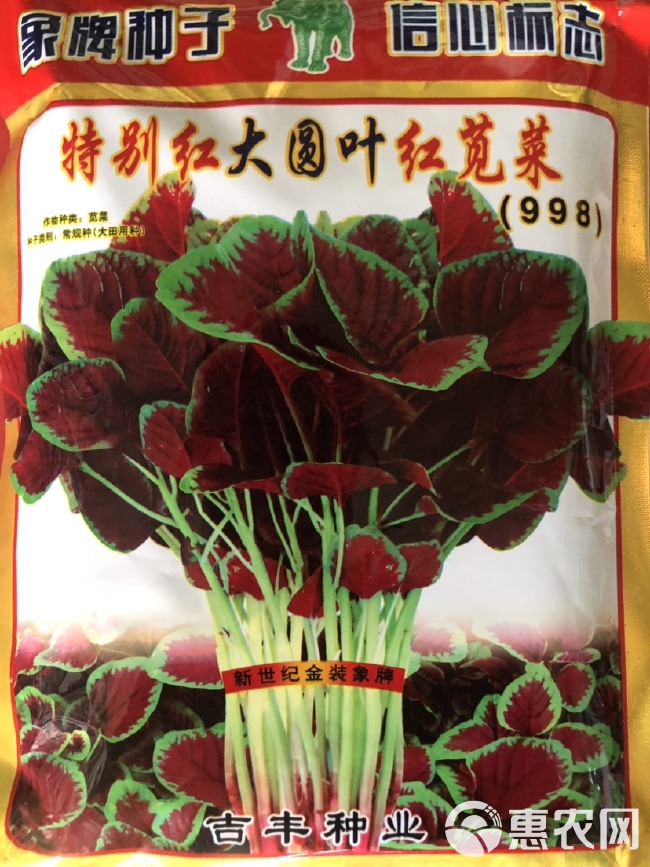 象牌大圆叶红苋菜种子 抽苔晚 耐热 品质好 袋装500克