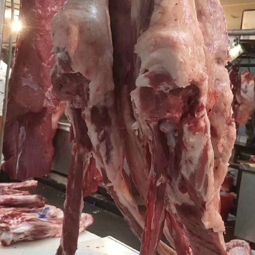 羊腿肉  羊肉前后腿肉里脊肉羊排肉都有