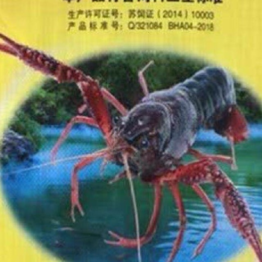 漳州龙虾饲料