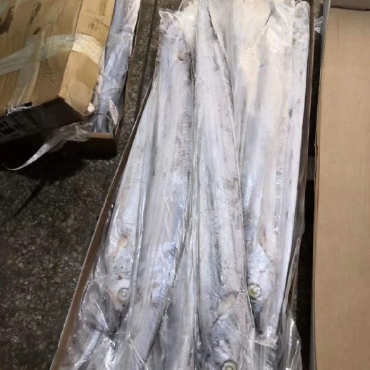 北海 最热销的一款带鱼
回头率
香煎，焖，肉质鲜嫩，味道一流！