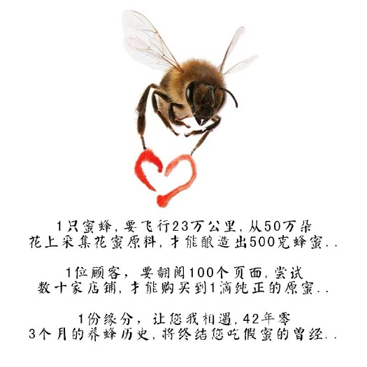 新沂市 正宗蜂蜜天然纯正农家自产蜂蜜