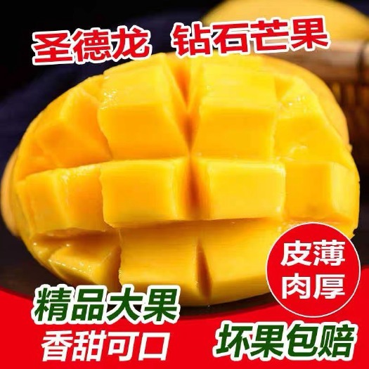 景洪市 缅甸圣德龙芒果精品大果新鲜水果批发