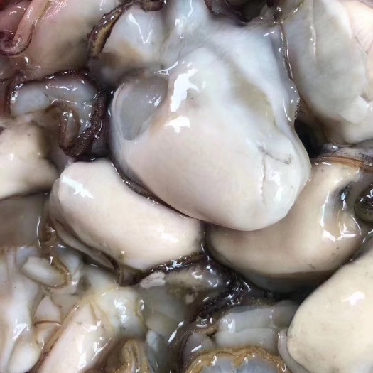 饶平县牡蛎  现开汫洲蚝肉，3斤55元广东省内包邮
量大价格优